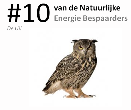 #10 van de natuurlijke energie bespaarders: de uil
