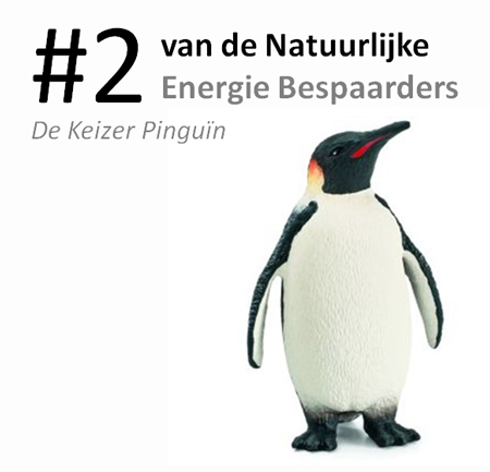 #2 van de natuurlijke energie bespaarders: de ping...