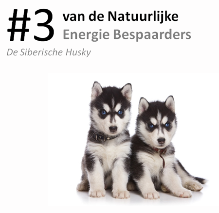 #3 van de natuurlijke energie bespaarders: de Sibe...