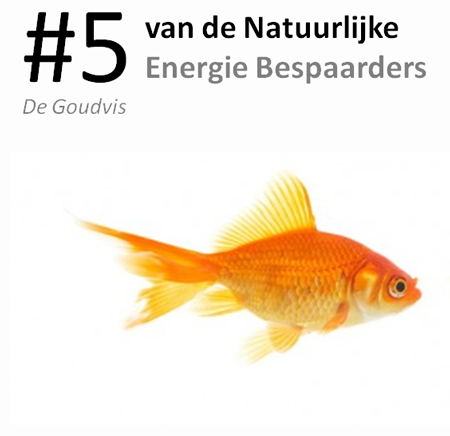 #5 van de natuurlijke energie bespaarders: de goud...