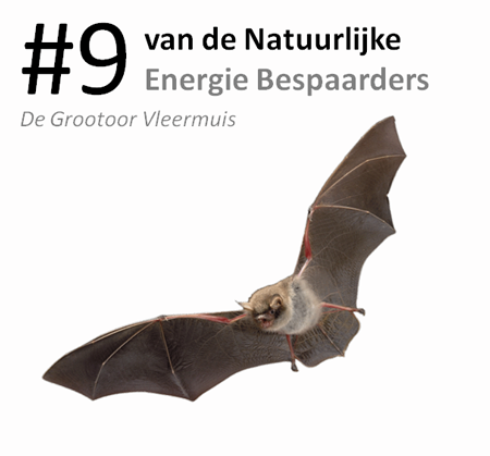 #9 van de natuurlijke energie bespaarders: de groo...